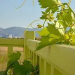 Apartmán Zeras Adamantas (Milos)